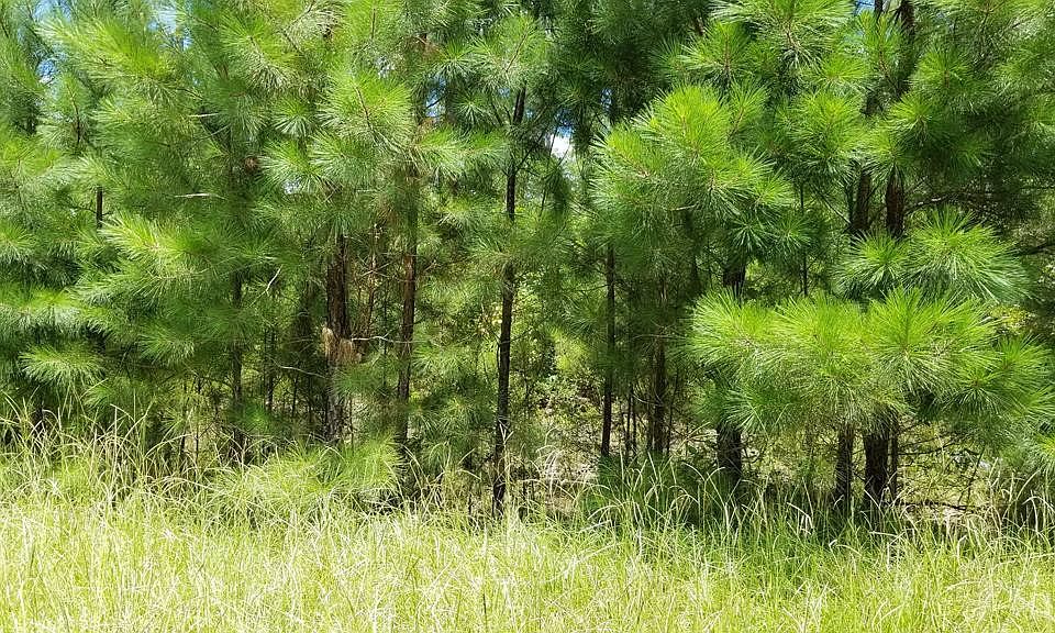 LOT 1 Anderson Pond Rd, Aiken, SC 29803 Zillow