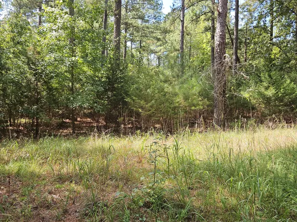 0 Double Branches, Lincolnton, GA