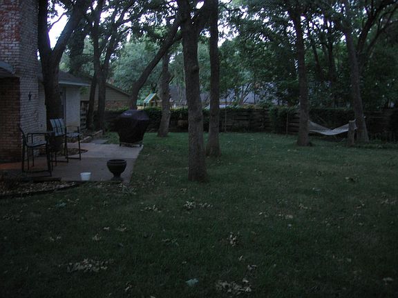 Lots of mature trees
