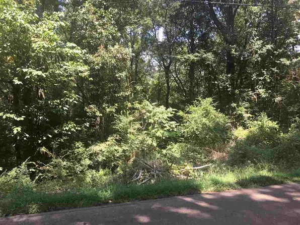 9270 Old Brownsville Rd E #2, Arlington, TN 38002
