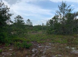 217 Carter Ave, Lake Placid, FL 33852
