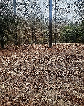 3rd image of 1657 Highway 13 S