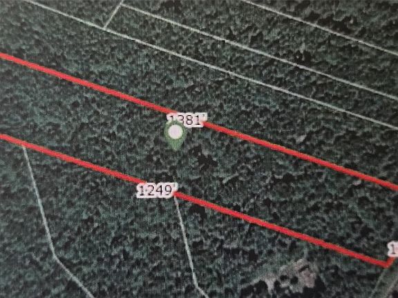 2nd image of Lot 6 NYS 52