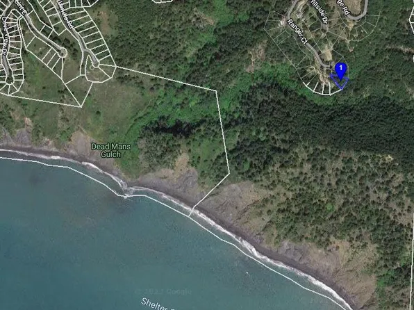 199 Ranger Ct, Whitethorn, CA 95589