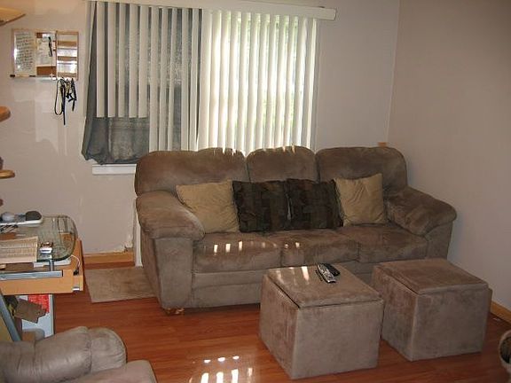 Living Room w/newer replacement windows 