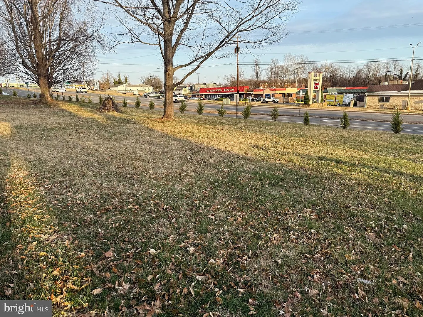 Madison Rd photo 1