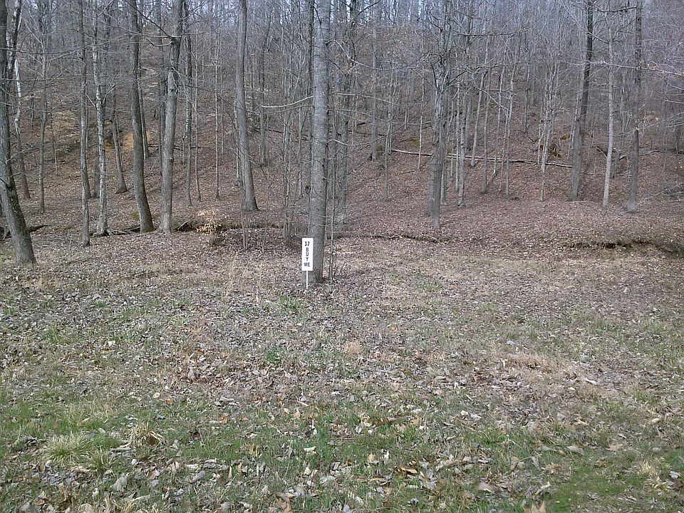 2nd image of 37 Forest Xing
