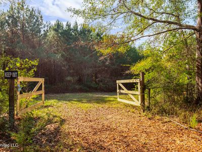 Katie Bush Rd, Pinola, MS, 39149