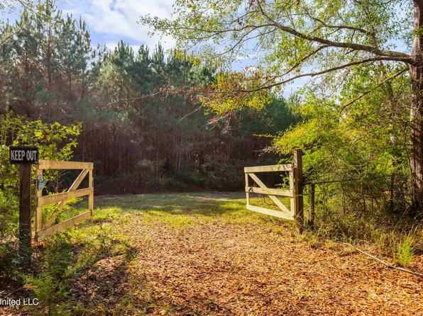 Katie Bush Rd, Pinola, MS 39149