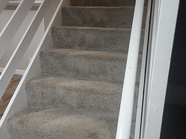 Steps Basement