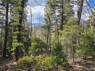 LOT 5261 Scott Rd, Fort Garland, CO 81133