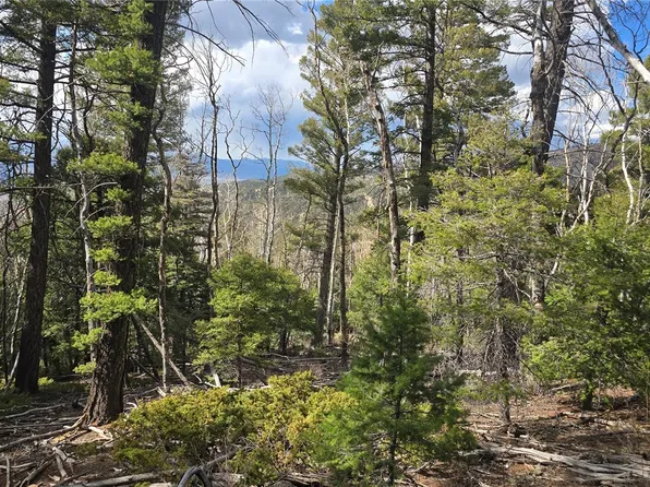 Lot 5261 Scott Road, Fort Garland, CO 81133