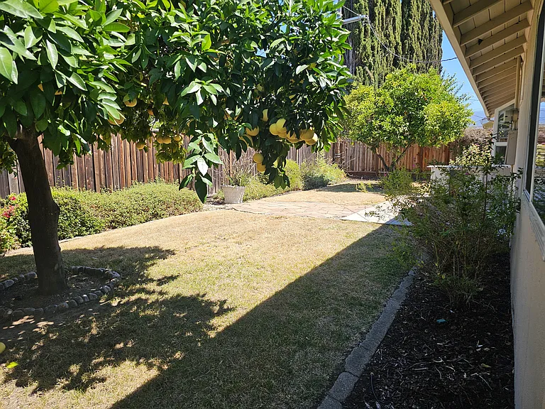 3432 Elaine Dr — Photo 15