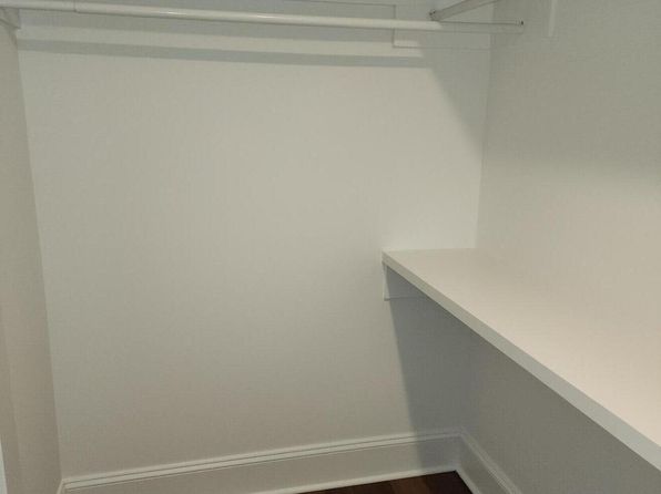 charleston-south-carolina-441874038 picture