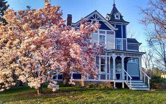 4th image of this home