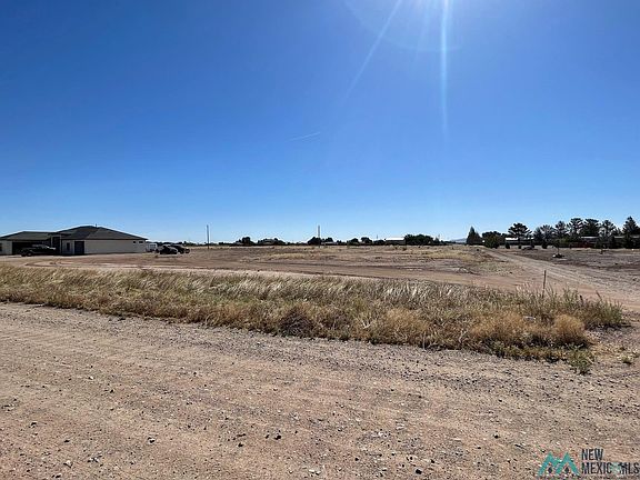 3rd image of Mustang Trl SW