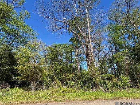 LOT & 24 La Trace Rd #23, Livingston, LA 70754