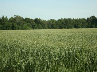 144 Brodie Hall Rd, Wagener, SC 29164