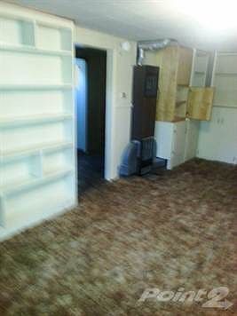1503 Ord Basement Shelves