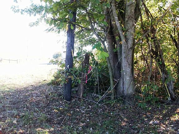5th image of 1301 Cane Valley Rd