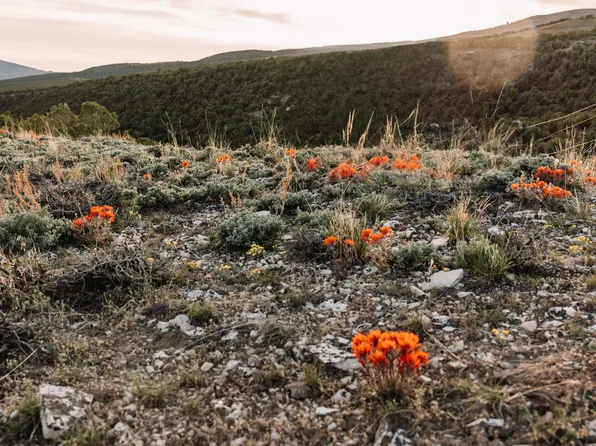 3895 W 9000 N, Vernal, UT 84078