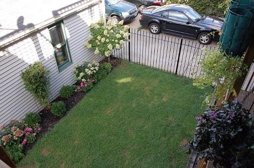 Back Yard #2