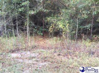 1181 Hillcrest Rd, Hartsville, SC 29550