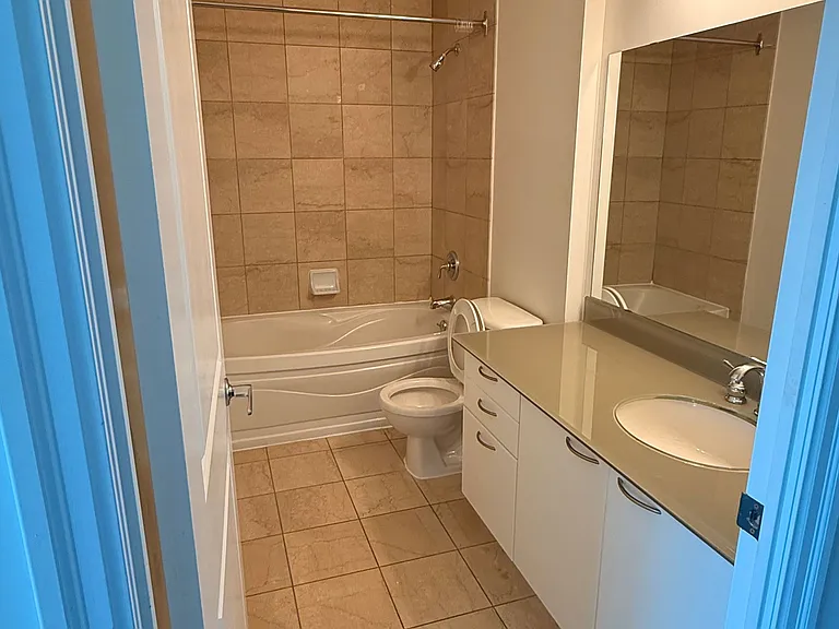 88 Palace Pier Ct #Penthouse 208 — Photo 12