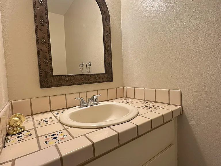 Guest bathroom downstairs