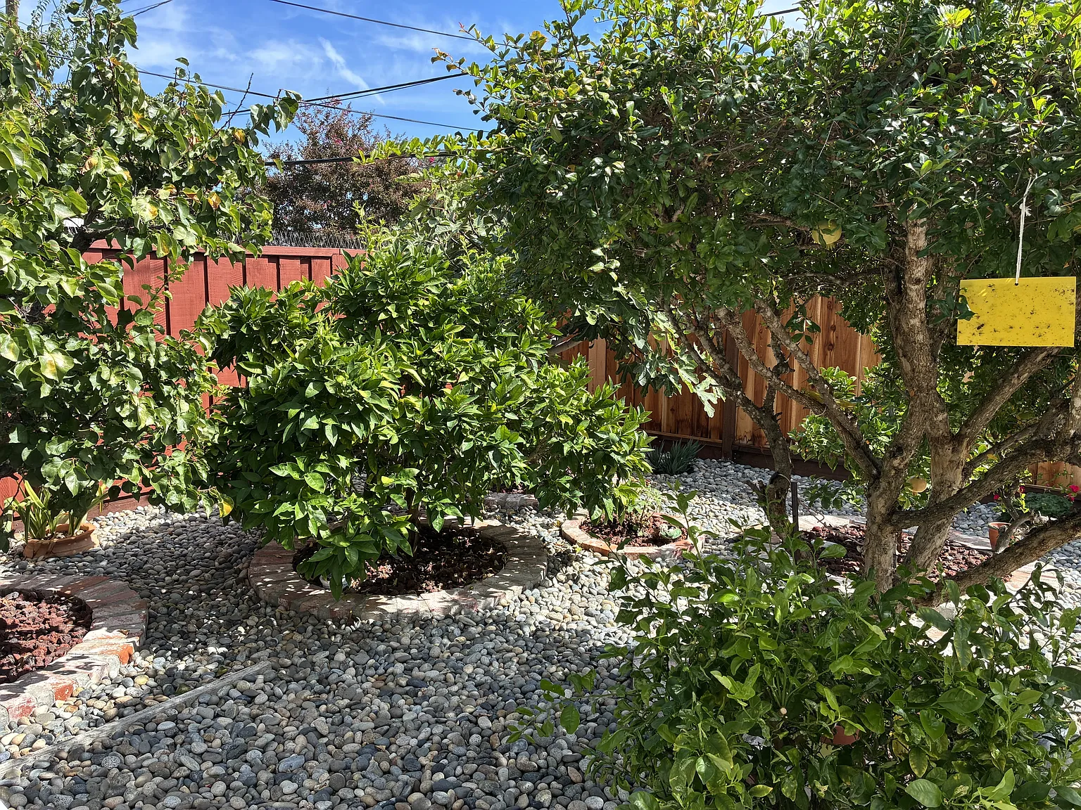 1470 Branham Lane - 1 — Photo 3