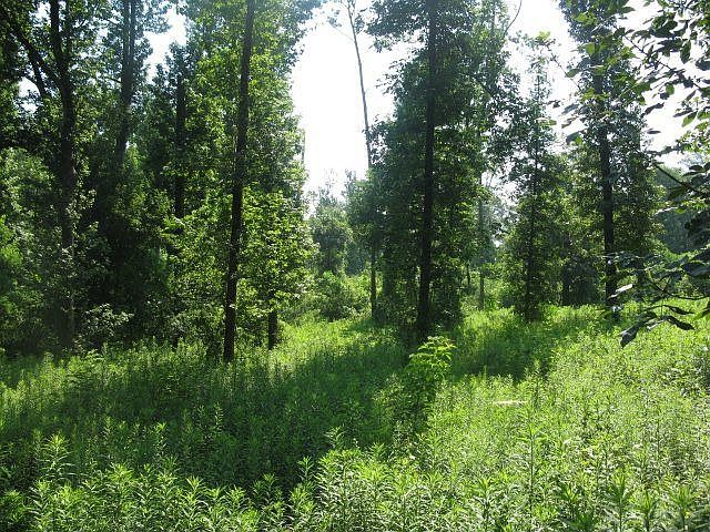 2nd image of 8 Twin Oaks Trce
