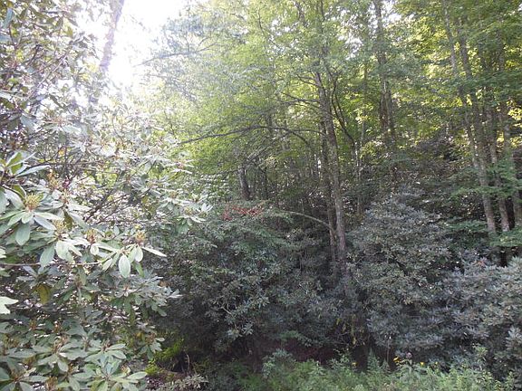 3rd image of Tbd Us Hwy 221n