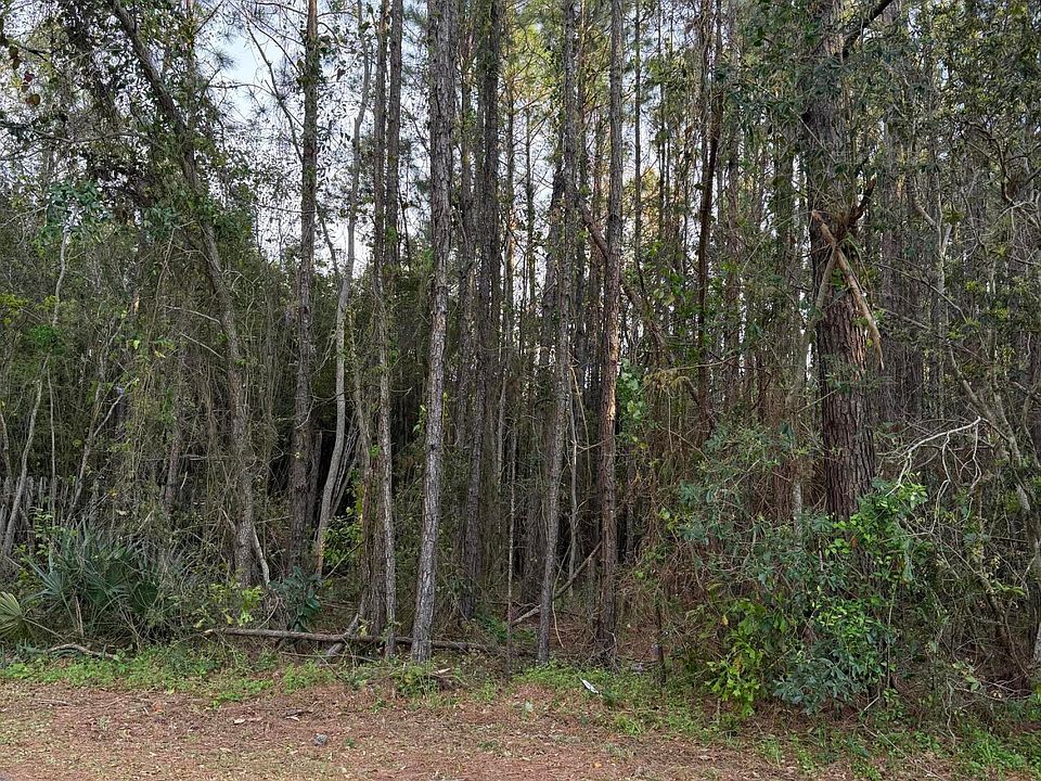 2nd image of Stennis St Lot 22