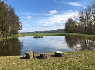 3426 Hubbards Hill Rd, Cincinnatus, NY 13040