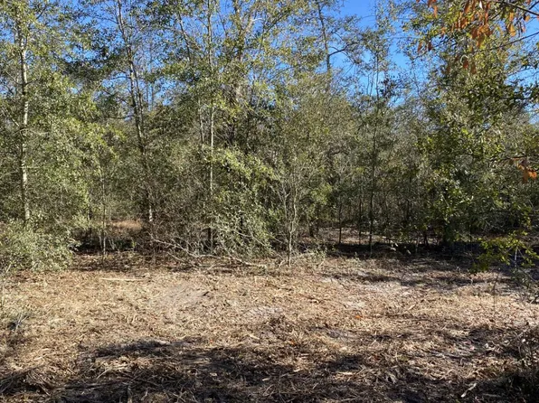 0 217th Rd, Live Oak, FL 32060