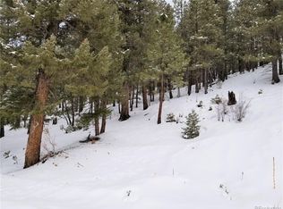 28482 Crystal Ridge Rd, Pine, CO 80470