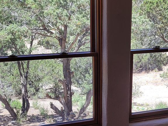 View from west windows