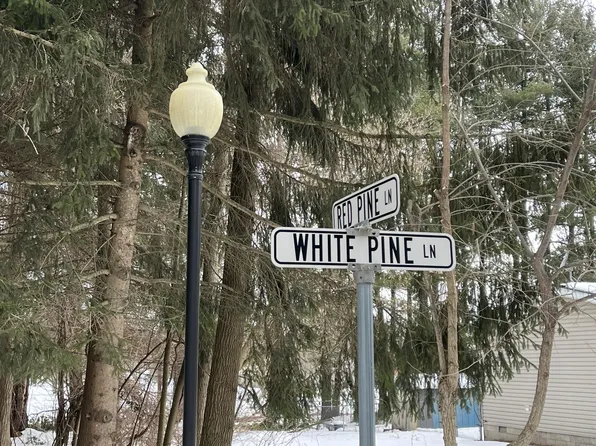 LOT 16 White Pine Ln, Croswell, MI 48422