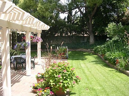 Lush private backyard