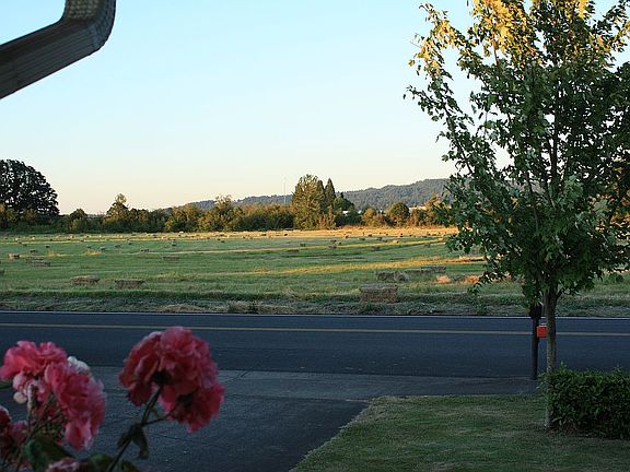 View across the street