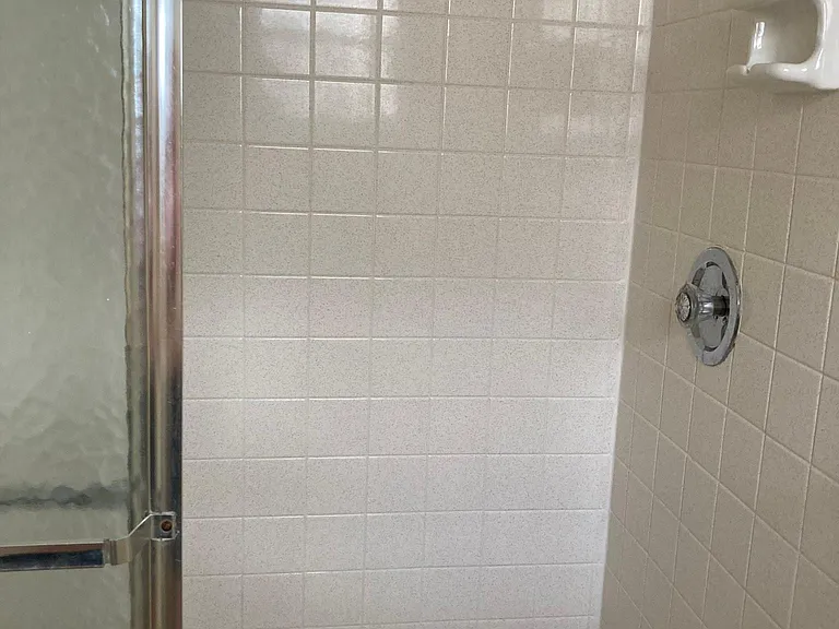 Master walk-in shower