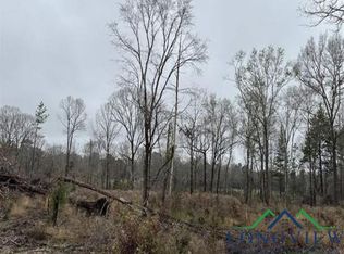 Private Road 1109, Diana, TX 75640