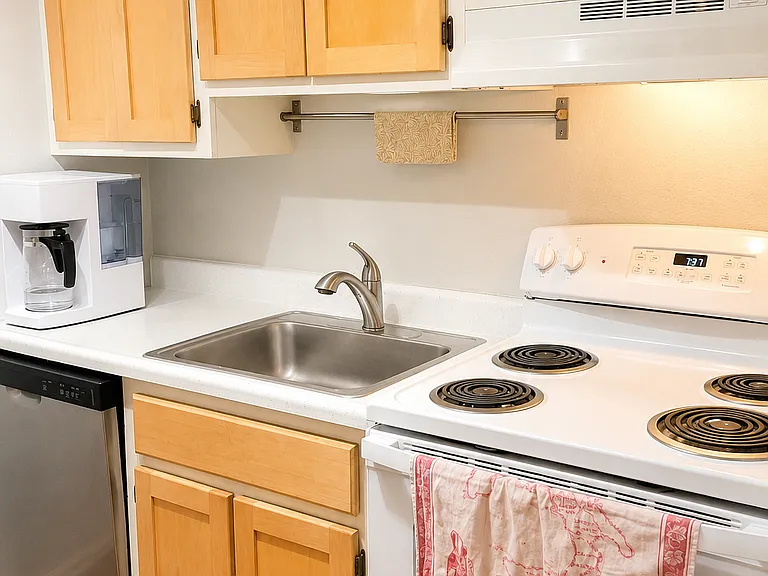 New dishwasher and range.