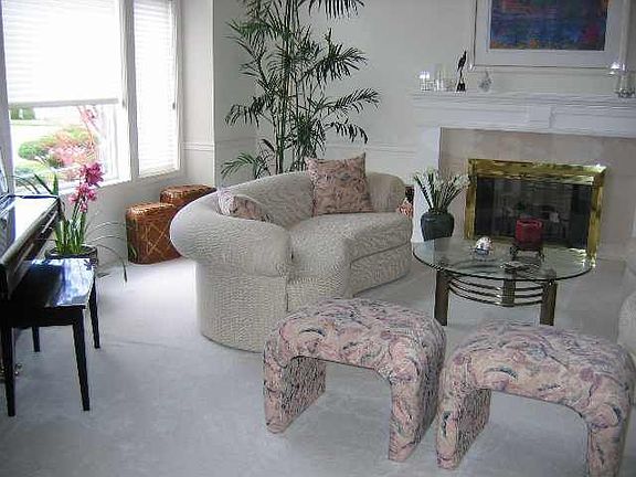 Living room #1 fireplace