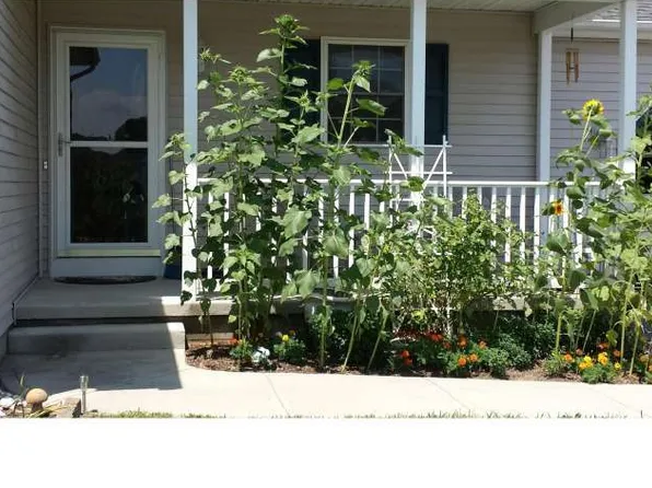 15 Swiggets Mill Rd, Lincoln, DE 19960