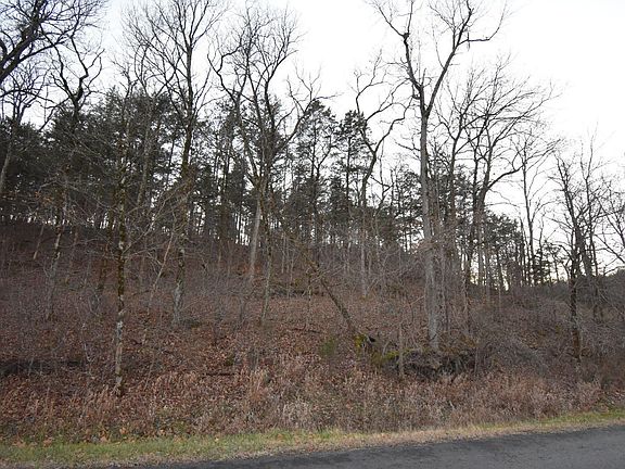 5th image of 535 Saddlebrooke Dr