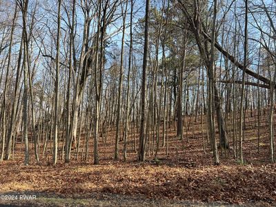 180-181 Pheasant Run, Bushkill, PA, 18324