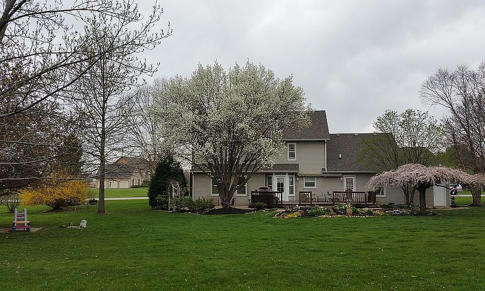 Flowering tree lined yard