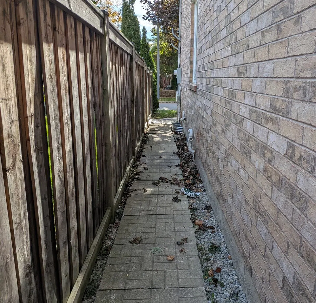 2 bed, $1,790 — Photo 3