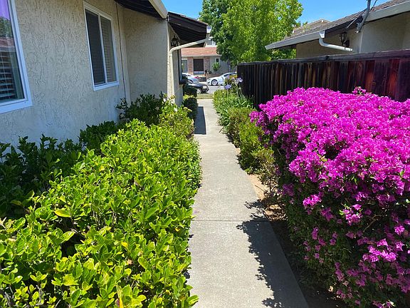 Inviting outdoor walkway with blooming flowers.